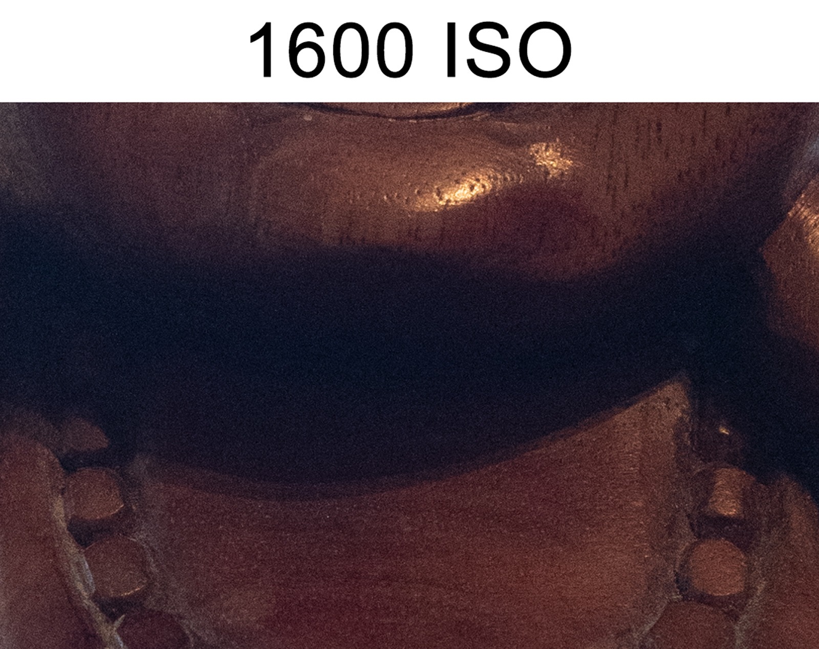 1600 iso