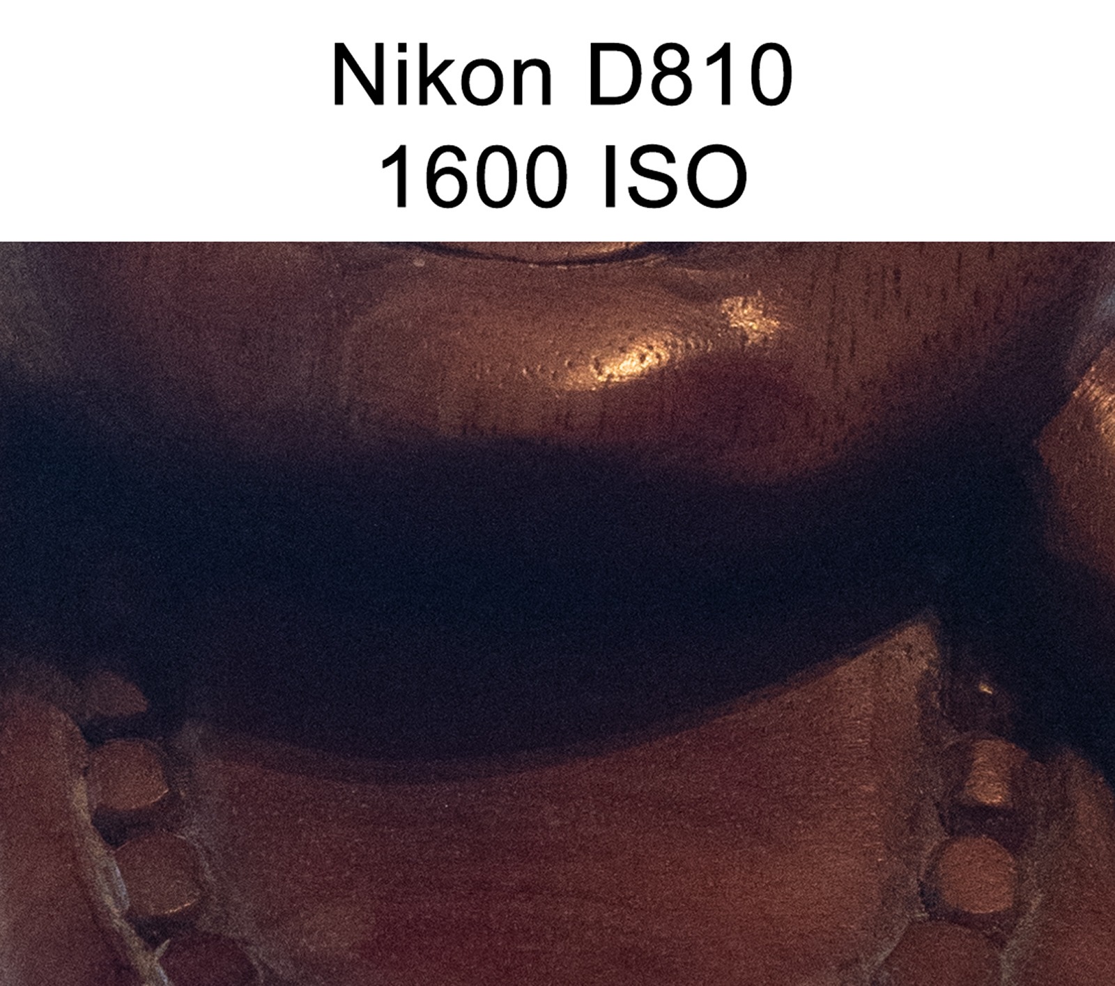 nikon d810 1600 ISO