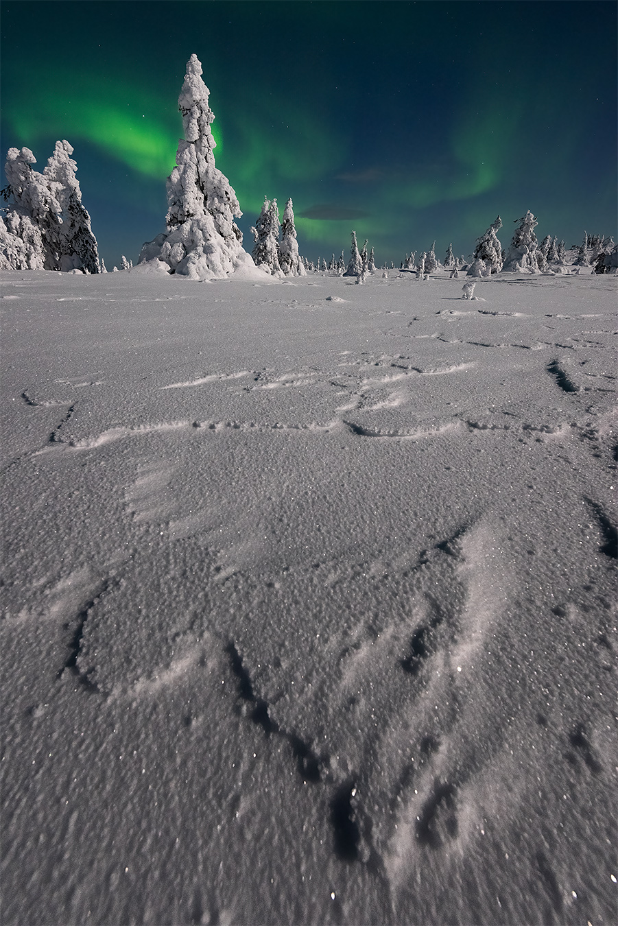 Photographie d’une aurore boréale en Laponie finlandaise en 2025 avec un premier plan enneigé, titre Irréel.