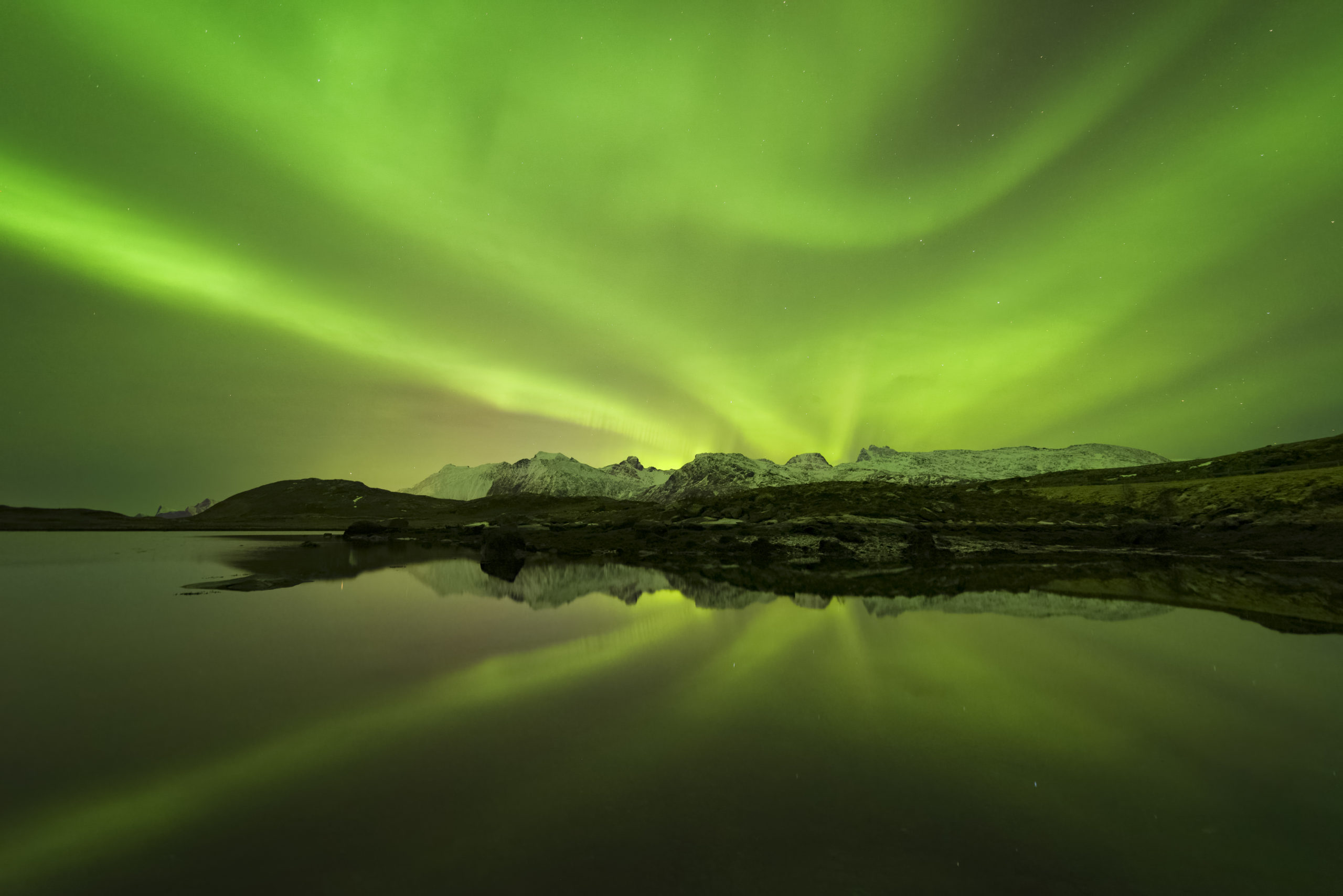 Aurore boréale intense photographiée aux Lofoten en 2025 par Stan-Timelapse & Photographie.<br />

