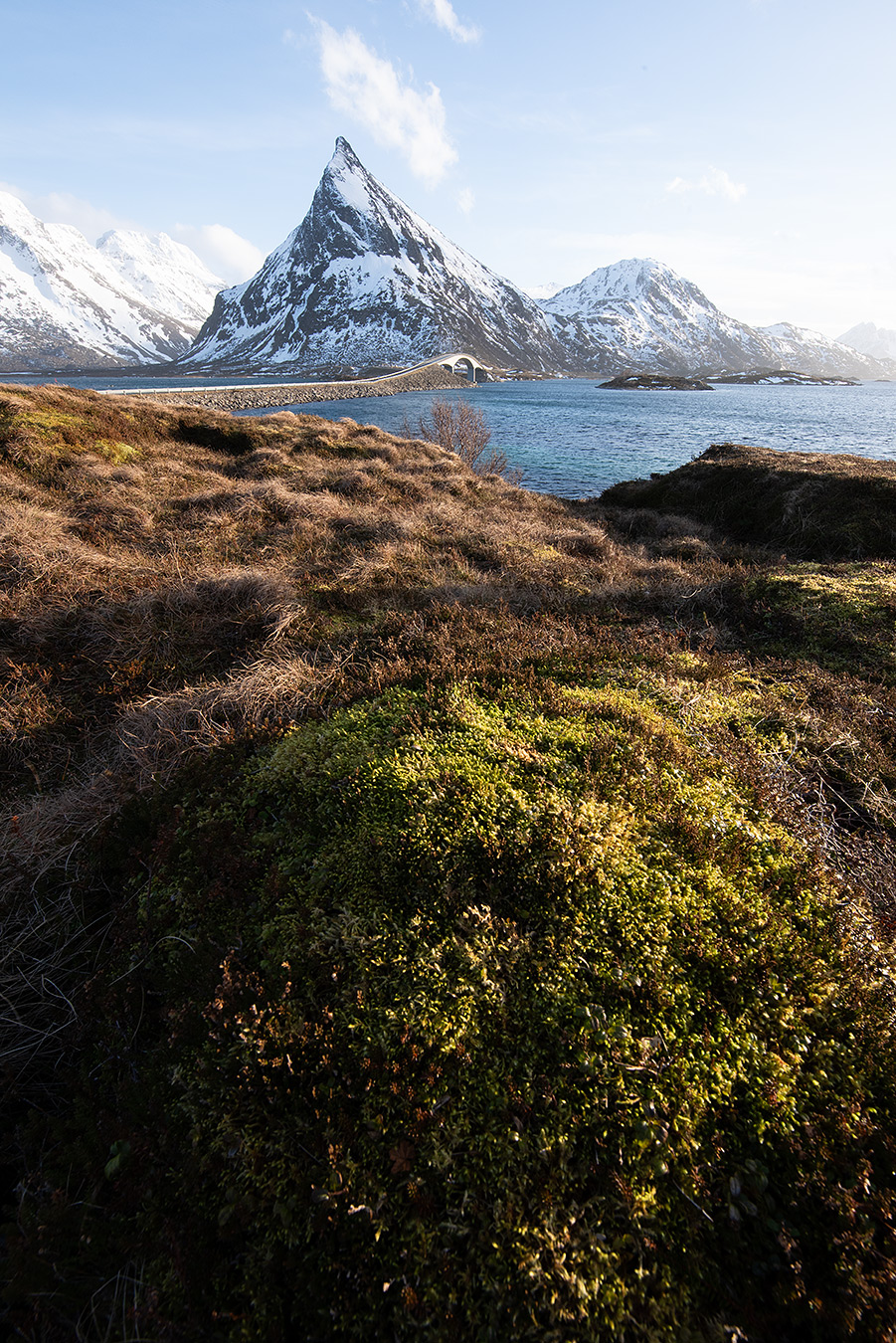 Photographie de paysage déséquilibrée illustrant l’analyse critique avant suppression
