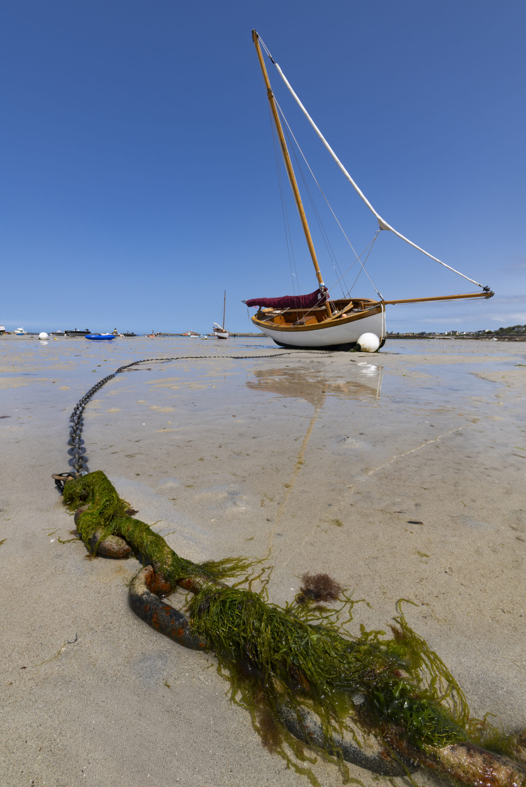 Photographie grand angle format vertical Bretagne - chaîne algues au premier plan et voilier en arrière-plan