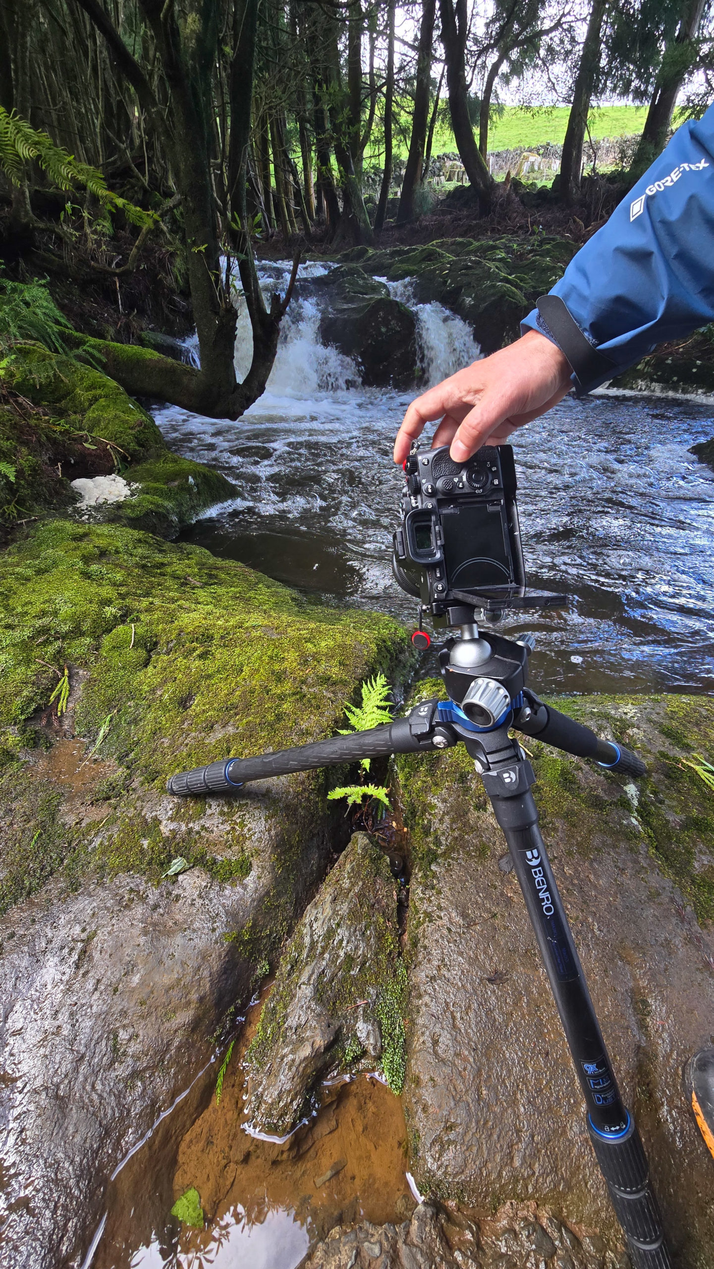 Trépied et appareil photo à 20cm d'une fougère au grand angle - Açores