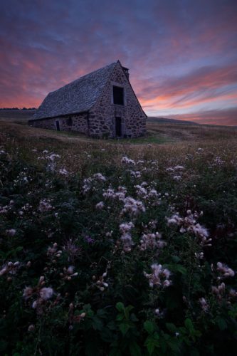 Cotton flower. Un buron de l'Aubrac au coucher du soleil, Occitanie. Buron en pierre sous un ciel de coucher de soleil, Aubrac, Occitanie.