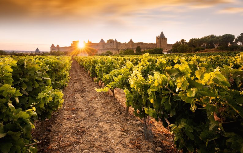 Coucher de soleil sur la cité de Carcassonne, Aude, Occitanie. Coucher de soleil sur la cité de Carcassonne, vue depuis un vignoble, Aude, Occitanie.