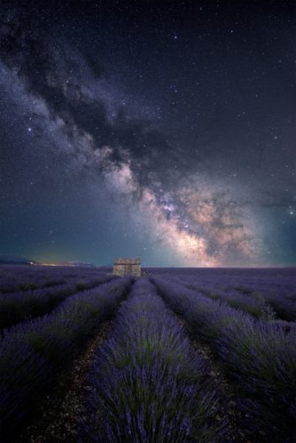 Cabanon en pierre au milieu des lavandes sous la Voie lactée, plateau de Valensole, Alpes-de-Haute-Provence, Provence-Alpes-Côte d'Azur.